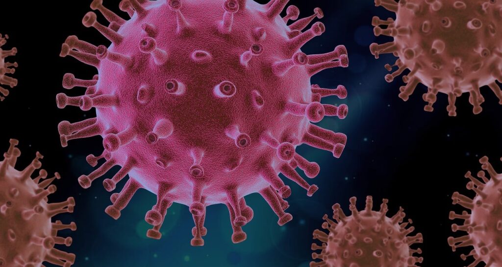 How vaccines have transformed world health